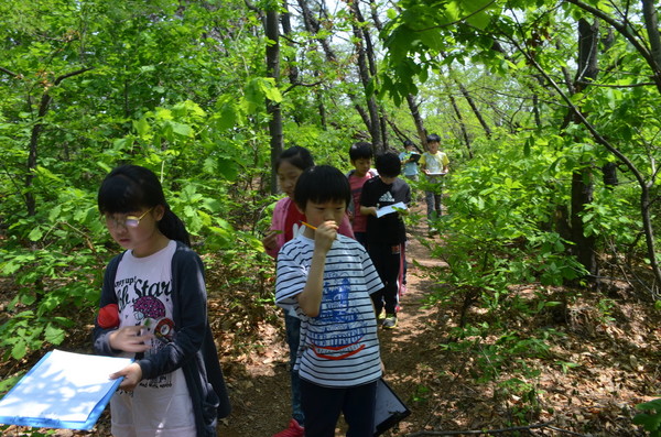 위 사진은 봄 방학 기간 중 가정에서 돌봄이 어려운 아이들을 모아 지양산으로 가서 생태 탐사 활동을 하고 있는 모습이다.