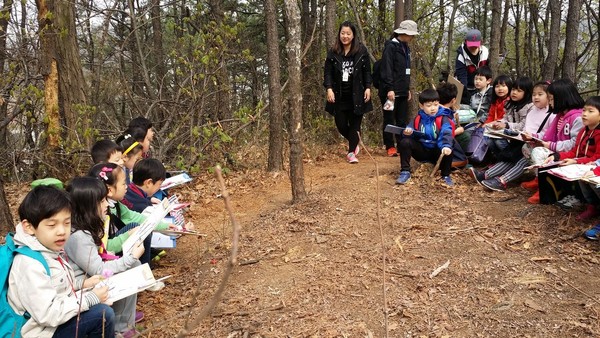  학교 인근 숲이지만 요즘은 숲이 잘 보존이 되어 있어서 숲 생태 학습을 하기에 좋다. 숲에는 쓰러져 있는 나무들도 있다. 그런 곳에 둘러 앉아 숲에 대한 이야기들을 나누고 주변에서 아카시 열매라든가, 솔방울 등 숲에서 찾을 수 있는 것들을 찾아 이야기를 나누기도 한다.(출처 : 김광철)