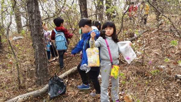 아이들은 숲에서 버섯도 찾아보고, 낙엽, 삭정이 나뭇가지, 썩고 있는 나무 등걸 등을 관찰하는 활동도 한다.​​​​​​​(출처 : 김광철)