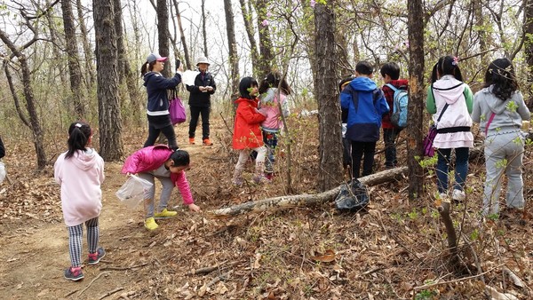 <진달래>를 따서 먹어보고 채집하는 활동을 하면서 <철쭉>에 대한 이야기도 나누면 좋겠다.(출처 : 김광철)