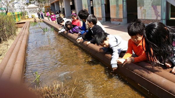 2014년 4월 초 신은초 1학년  <열매반> 어린이들이 학교 뜰에 있는 연못에서 개나리 꽃잎을 따서 꽃배 띄우기를 하고 있다.(출처 : 김광철)