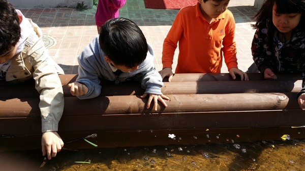 개나리 꽃배가 연못에서 떠내려 가는 것을 보고 즐거워하고 있는 신은초 1학년 어린이들(츨처 : 김광철)