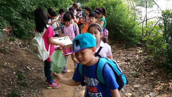 2014년 5월 신은초 1학년 <열매반> 어린이들이 <숲 체험활동>을 마치고 내려오면서 갈참나무 잎을 땨서 손부채로 이용하고 있는 모습이다.(출처 : 김광철)