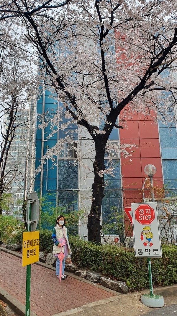 학교 교정에서 찍은 손녀의 예쁜 모습