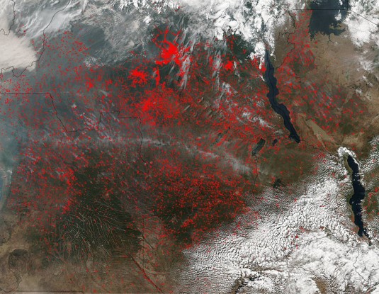 중부아프리카의 불이 난 지역을 표시한 NASA의 지도. 담수와 숲을 중시하지 않는 화전농사를 위주로 하는 곳이라면 이런 산불들불이 다반사로 일어날 수밖에 없다.
