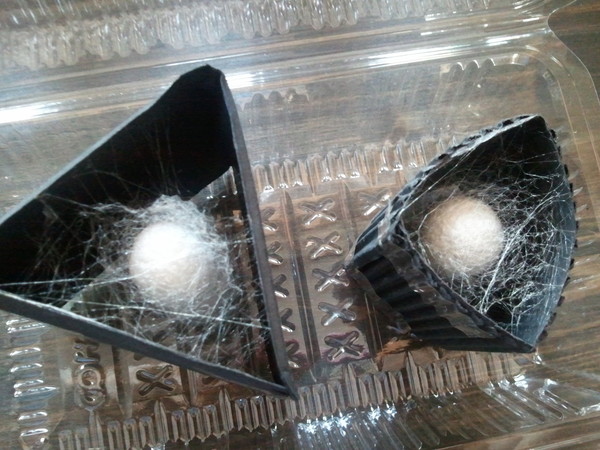  신은초에서 3학년 아이들과  <누에 프로젝트>를 할 때 최한응이란 어린이는 부모님과 함께 가정에서 누에 키우기를 별도로 관찰한 기록을 카페에 올렸던 것이다.(제공 : 김광철)