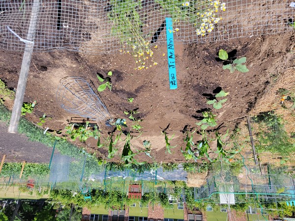 정리되어가는 중인 텃밭