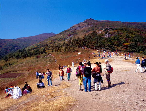 1999년 무등산 중머리재 등산객.    출처: 광주광역시 시청각자료실