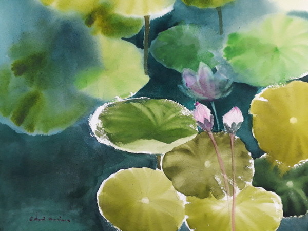 ▲ 연꽃이 내게 준 그리움, 그리고 연꽃과의 대화