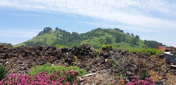 비양봉은 두 개의 분화구로 이우어져 있다. 섬 곳곳에는 보는 바와 같이 화산 활동의 의하여 생긴 돌담들이 널부러져 있다.