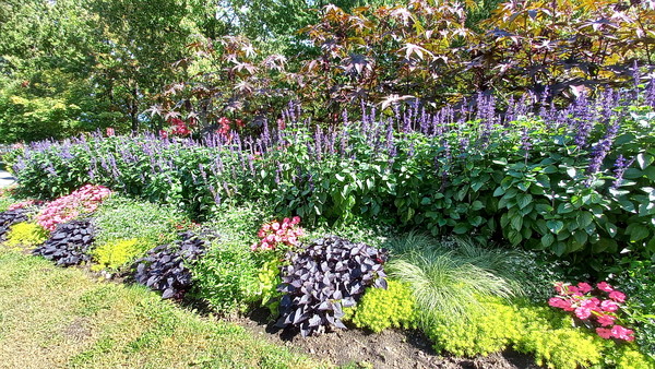 비버 레이크 파빌리온 입구에는 이렇게 아름다운 꽃밭도 있다. 