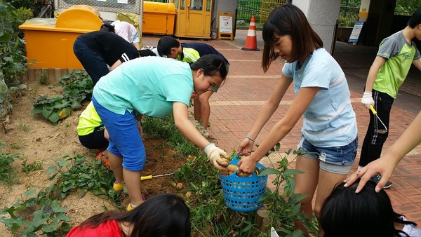서울신은초에서 텃밭 가꾸기 체험을 하고 있는 아이들