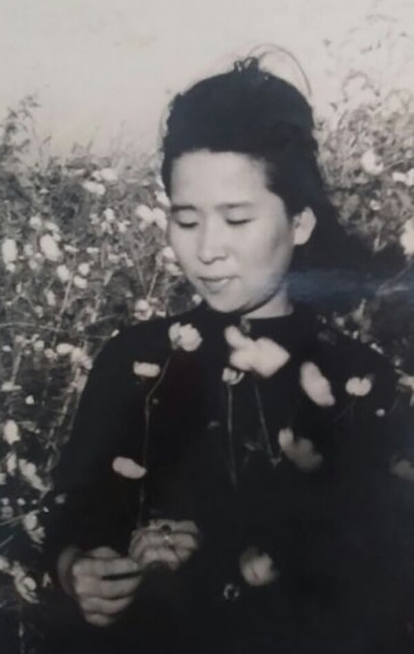 강정순(1938년~2019년 )