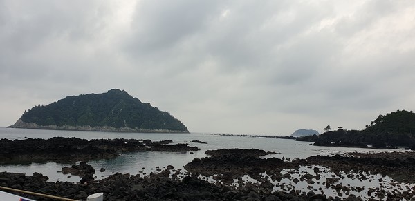 '파초일엽'이 자생하고 있어 천연기념물로 지정되어 보호하는 보목동 앞 바다에 있는 '섶섬'