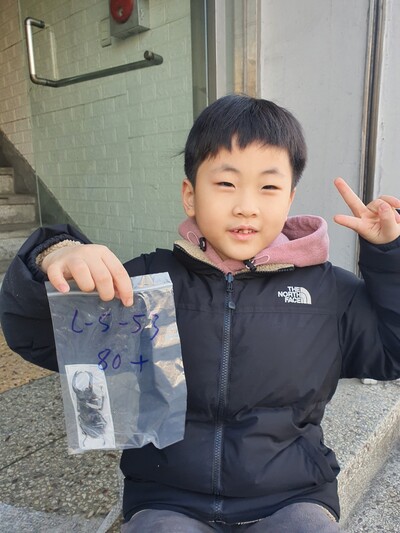 요즘 곤충의 세계에 빠져 있는 김동하 어린이가 표본을 만들기 위해 구입한 건조 사슴벌레를 들어보이고 있다. 고솔씨 제공