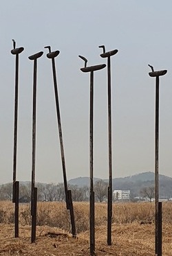 2022년 봄, 시흥갯골생태공원 솟대, 촬영 필자