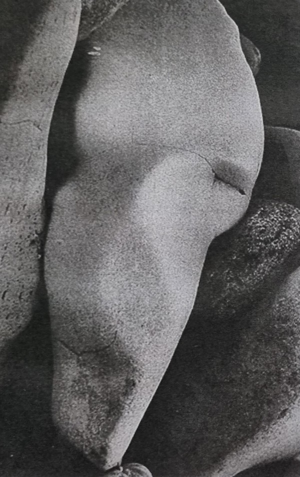  "1994년, 프랑스 국립도서관 콜베르 갤러리, 세계104인 현대사진대전에 초대된 백운철의 두상 사진: 희노애락을 벗어나 '무의 경지'에 들어가면서 바위가 된 모습 #2 (출처: 돌문화공원 사업단)"