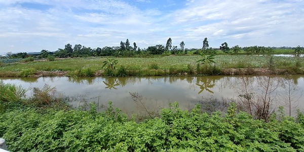 전형적인 농촌의 모습. 베트남은 물이 풍부하다.