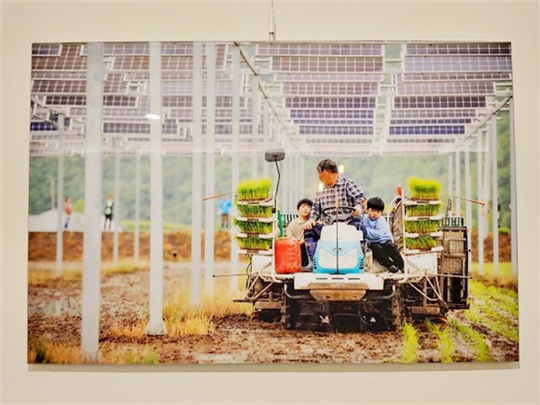 에너지전환갤러리 ‘내일’에 전시된 영농형 태양광 사진. 이앙기에 손자를 태우고 함께 모심기를 하고 있다. ⓒ 김효빈