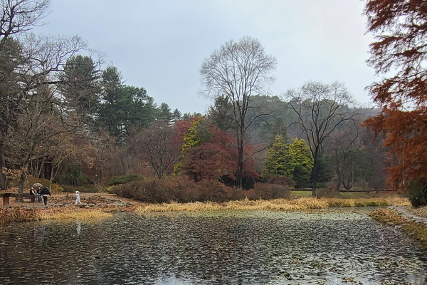 11월 포천 국립수목원에서 