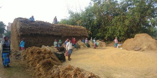 어느 마을의 사람들 모두가 모여서 공동으로 탈곡작업을 하고 있다. 벼농사는 공동체의 협업능력 그리고 의사결정능력을 높인다. @생명탈핵실크로드 순례단
