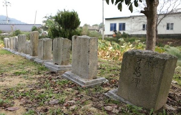 정읍시 고부면사무소 앞 연못 안의 정자 군자정 둘레에 늘어선, 군수·암행어사·병마절도사 등 22기의 선정비 무리는 한두 기를 빼곤 성한 게 없다. 반 토막으로 잘린 것이 대부분이고, 나머지도 귀퉁이·옆구리가 깨진 모습이다. 학정에 시달린 백성들에게 빗돌의 선정·청렴·애민 따위 미사여구는 분노의 표적이 됐을 것이다. 글과 사진 출처 : 한겨레신문(2016.10.20.)