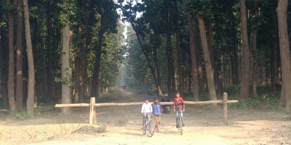 고락푸르 인근에서 넓은 숲을 만났다. @생명탈핵실크로드 순례단