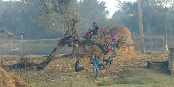 원숭이를 흉내내는 듯한 나무놀이를 하는 아이들 