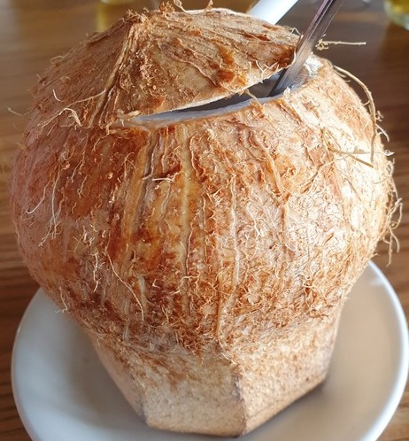사진 김인수(비엣남 나트랑 코코넛)