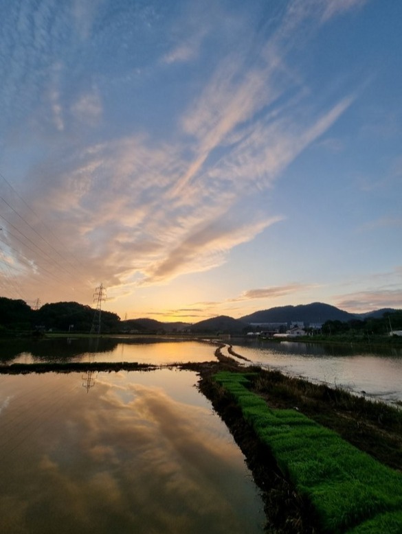 모내기 철 물 잡아 놓은 논, 물거울의 아름다움 / 사진 소운재 채기룡