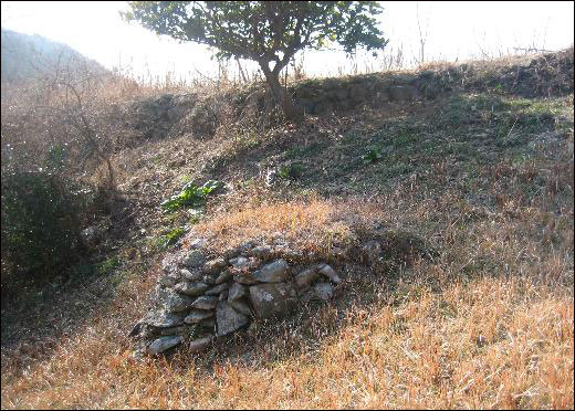 주재년 열사의 무덤은 바위글씨를 남긴 목화밭 근처 골짜기에 있다(출처 : 박용규 박사 제공)