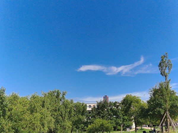 숲 위로 비행기 모양의 구름이 세상을 유유히 표류하고 있다  (필자 사진)