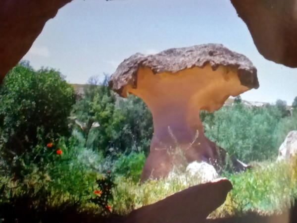 굴쉐히르(Gülşehir) 버섯 바위(출처 : Cappadocia(저자 :Murat Gülyazz/ 출판사 : Digital Dünyası))