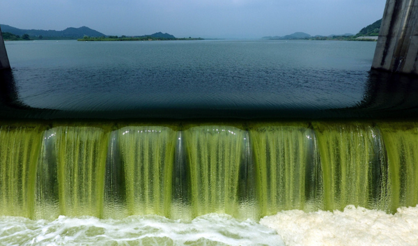 창녕 함안보 상공에서 김봉규 선임기자가 찍은 3400만톤의 낙동강 물을 방류하는 장면