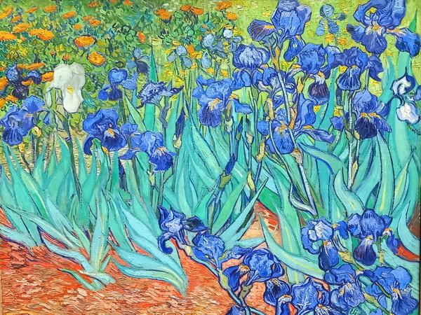 ▲ '반 고흐(Van Gogh)'의 '아이리스(Irises)' 1889년 작