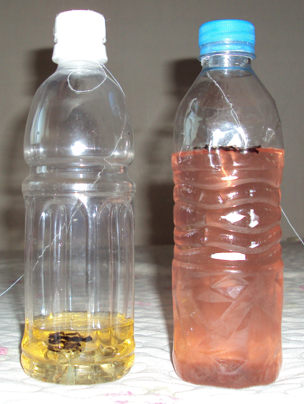 사진 김인수 / 빈 500mL 생수병에 물을 100g(왼쪽) 채운 경우 / 빈 500mL 생수병에 물을 420g(오른쪽) 채운 경우