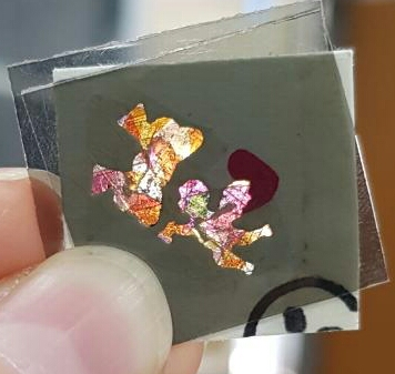 사진 김인수 / 2017년 9월 소명여고 1학년 박수빈의 “The tiny stained glass”(작은 스테인드글라스)