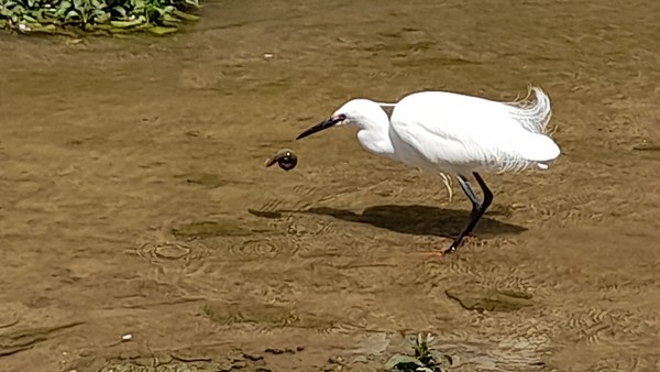 사진 출처 : 필자