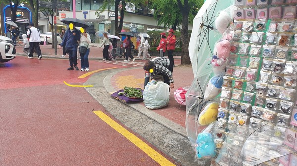 머위할머니(홍대입구역 9번 출구 앞에서, 2024.4.15.) 
