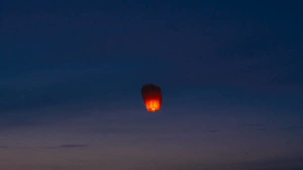 다음 포털 무료사진 가져옴