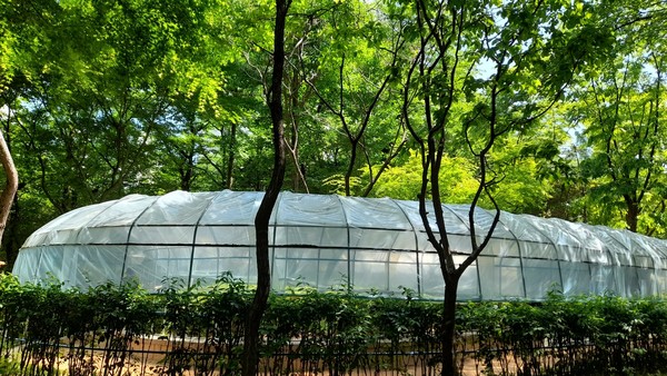 사진 출처 : 필자