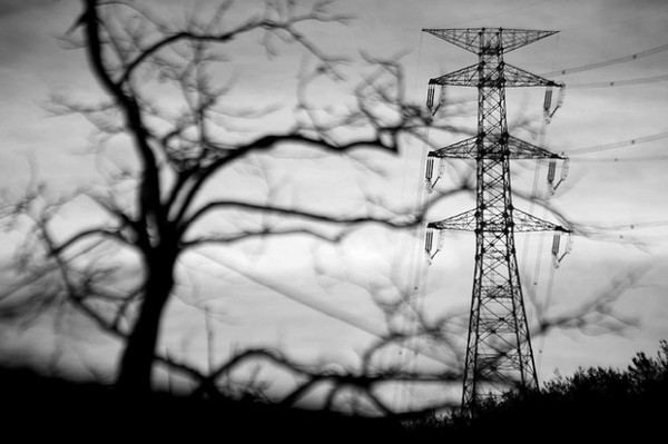 밀양 감나무 밭에는 괴물 같은 송전탑이 박혀 있고, 초고압 전기가 흐르고 있습니다. 정의롭지 못한 정부는와 소위 전문가라는 사람들은 초고압 송전탑 아래 사는 주민들의 건강에는 아무런 영향도 미치지 않는다고 말합니다. 그들과 그들 가족들이 그 밑에서 살고 있어도 그렇게 말을 할까요?(출처 : 장영식)