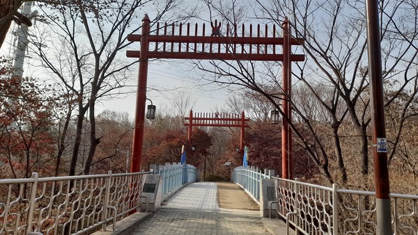 사진 출처 : 필자