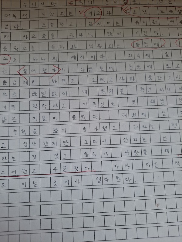 가족 전체가 외국에서 살다가 귀국한 어느 고3 학생이 우리나라 교육 현실에 적응하지 못해 자신의 고민을 솔직히 서술한 글(출처 : 하성환)