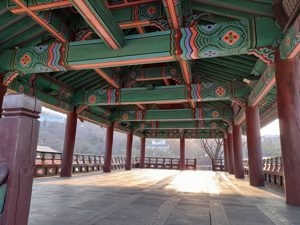 사진 출처 : 필자