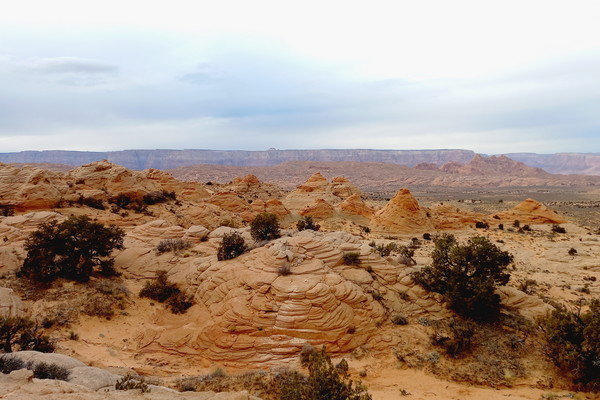 ▲ 숙소로 가는 도중 만난 '나바호 네이션'의 어느 재밌는 바위 똥 무덤 