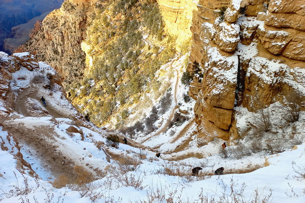 ▲ '사우스 케이밥 트레일'의 초입에서 만난 지그재그 내리막 길