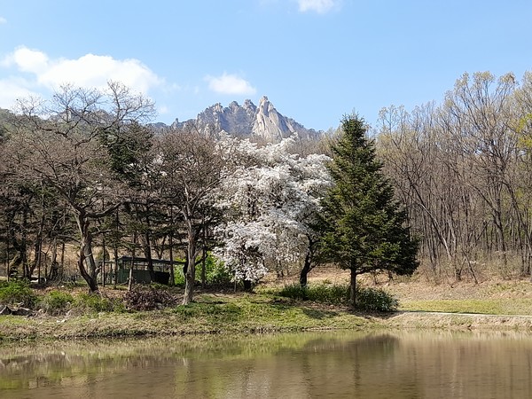 사진 출처 : 필자