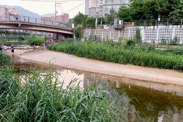 ▲ 우이천 새 모래톱(출처 : 김미경)