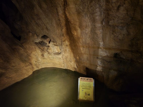 환선굴에서는 이처럼 동전을 던지지 말라는 표지판을 볼 수 있었다.